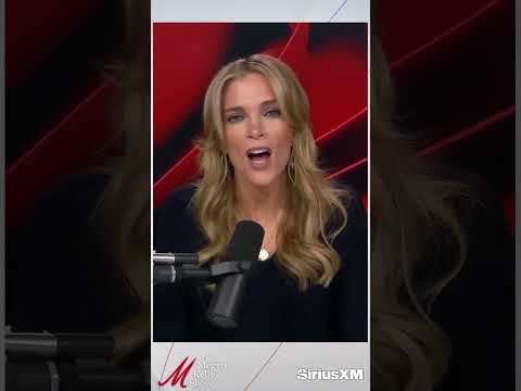 Megyn Kelly Reacts to MSNOW Pundit Angry ICE Agent Had Phone Out: "You Can't PLEASE These People"