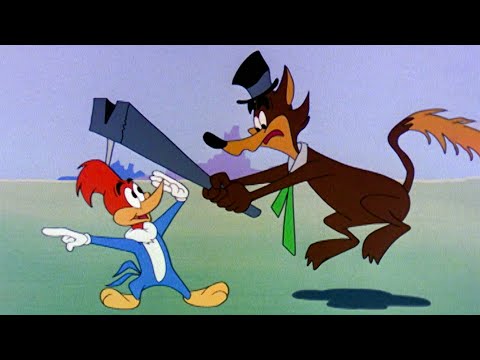 Pica-Pau Convence a Raposa Fink Fox | 2.5 Horas de Episódios Antigos | Pica-Pau em Português