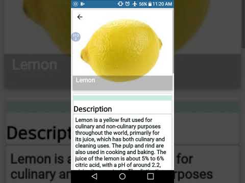 Fruits Vitamins Video