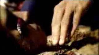 The Black Maria - "Betrayal"