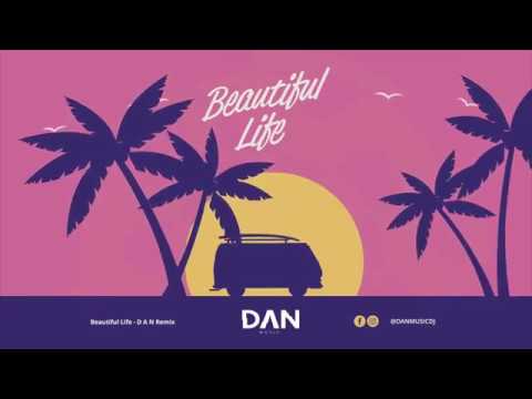 Lost Frequencies feat. Sandro Cavazza - Beautiful Life (D A N Remix)