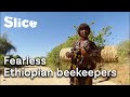 Domestic beekeeping in remote Africa | SLICE
