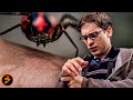 The Bite That Changed Peter Parker SPIDER MAN