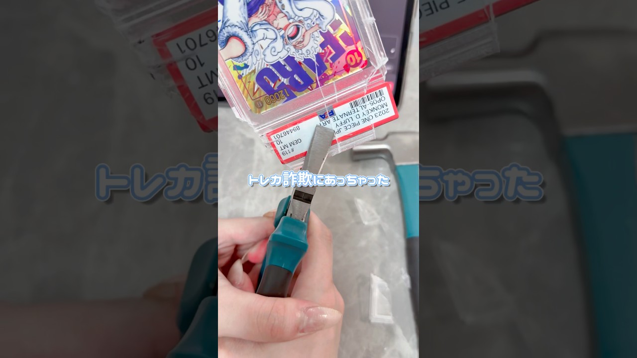 これ欲しい人居ますか？🥺 #トレカ #ワンピース #ワンピースカード #在宅ワーク #副業生活 #副業