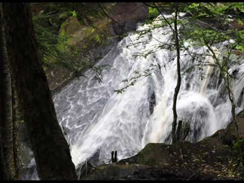 Everybody Wants You ~ Josh Kelley