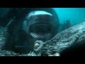 Meg 2: The Trench - Shark vs Kraken Attack Scene | Top Action