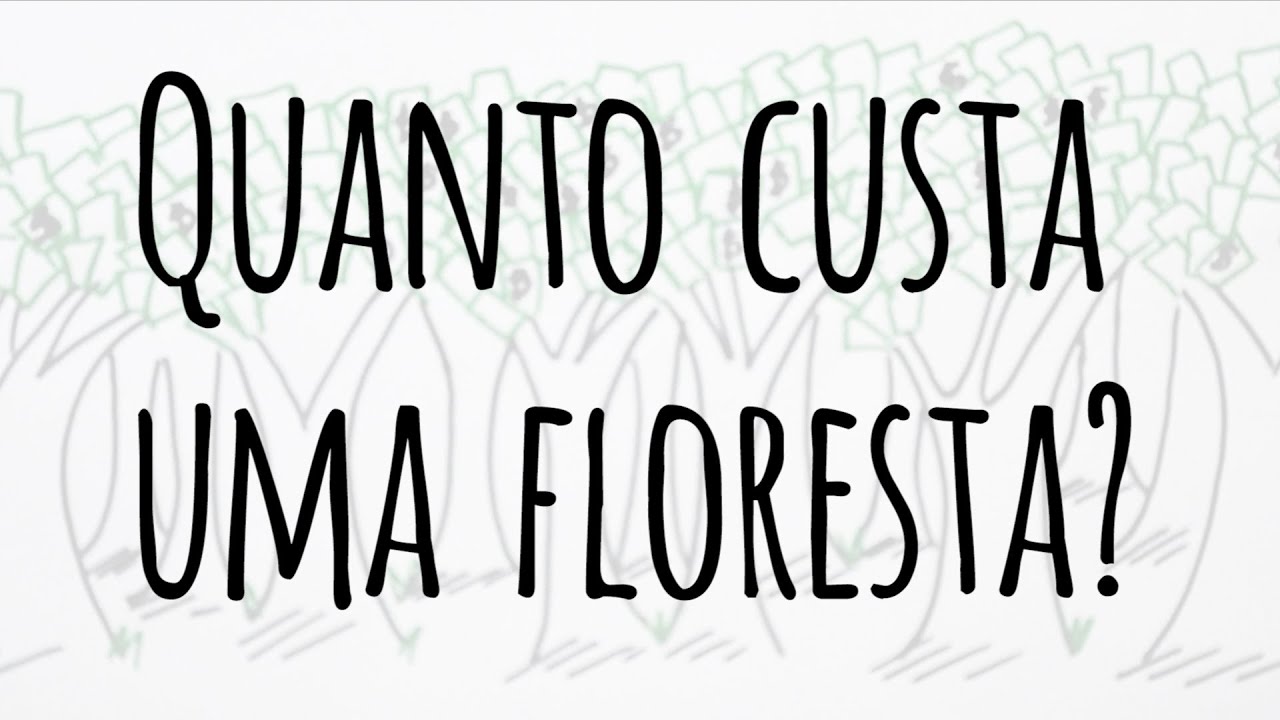 QUANTO CUSTA UMA FLORESTA? ENTENDA O QUE É A VALORAÇÃO AMBIENTAL