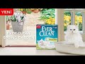 Ever Clean Spring Garden Çiçek Kokulu Topaklanan Kedi Kumu 6lt