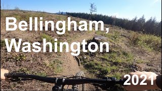 Riding Skill Zone jumps