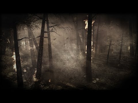 Call of Duty World at War OST - "Their Land, Their Blood"