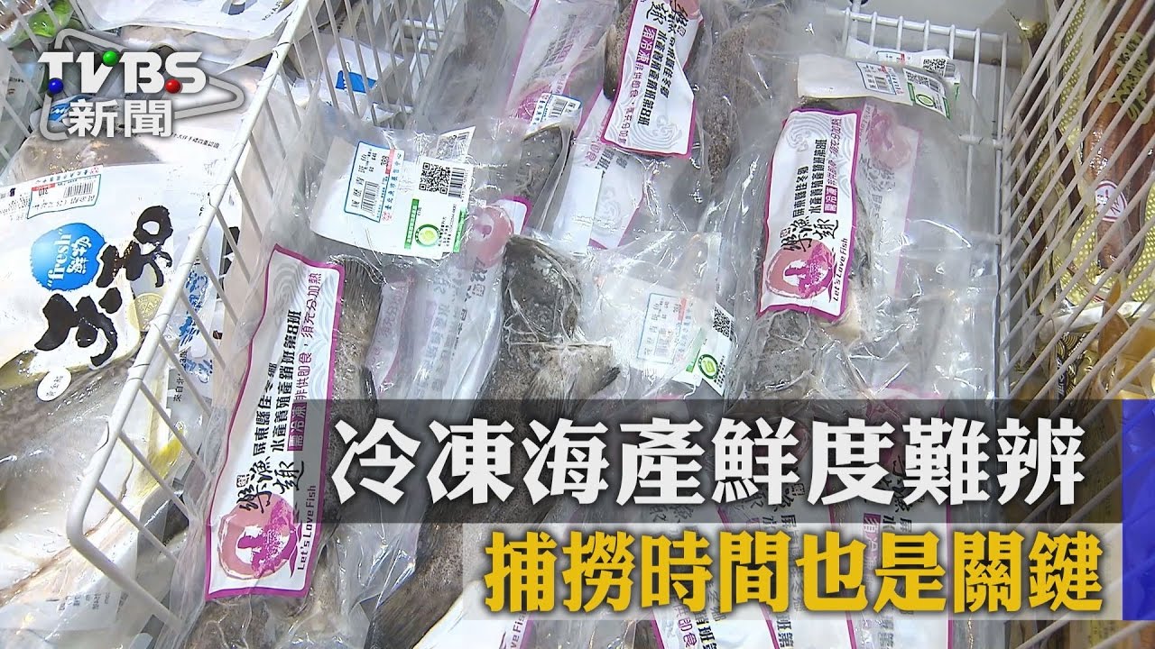 冷凍海產鮮度難辨　捕撈時間也是關鍵