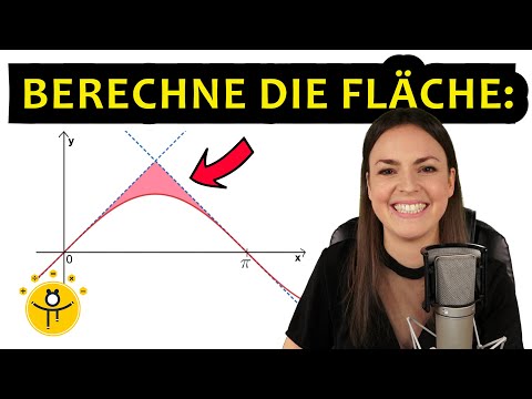 Mathe ABITUR Analysis – Aufgabe Integralrechnung