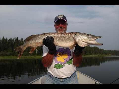 2014 in Da Bush with Amik Outposts canadianflyinfishing.com