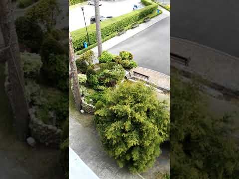 Dziwnówek hotel Jantar