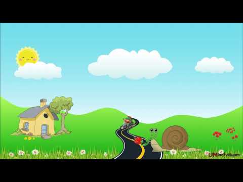 UM INDIVIDUUM - Pužji život