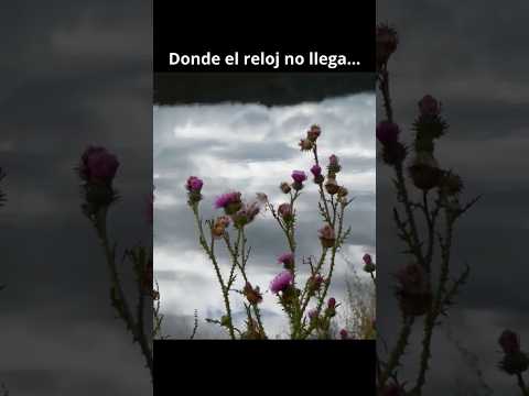 Donde el reloj no llega | #paisajes #viajes #shortvideo #argentina