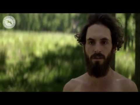 Mango & Seawaves - The Shore (We Are All Astronauts Dub Mix) [Video]