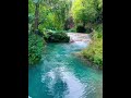 BURASI ANKARADA (Doğa harikası kamp alanı)