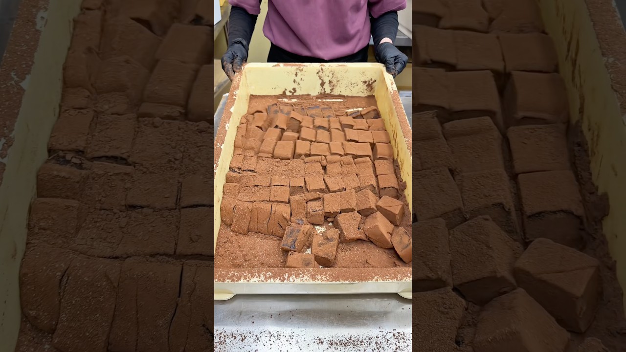 巨大なぷるぷるわらび餅 #japanesefood