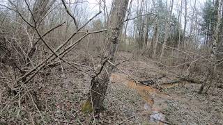 Rabbit Hunt 1080HD -  The Houndsmen _ JJ Lawhorn