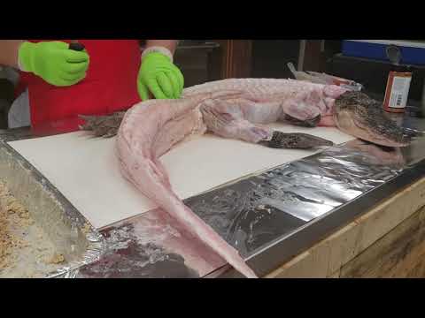 How To Prep and Cook an Alligator