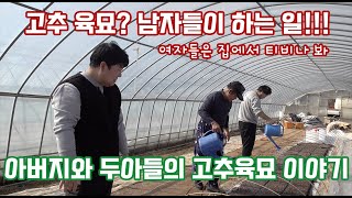 고추 육묘는 남자들이 하는 일!!!! 싸나이들의 고추 육묘 1일 차!!! 와이프 집에서 티비나 봐!! 고추는…