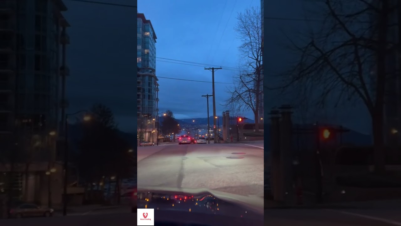 A Day in the life of a programmer #programming #programminglife #codinglife #programmer #developer