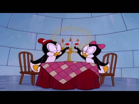 Chilly Willy Full Episodes 🐧Chilly Lilly - Chilly willy the penguin 🐧Kids Movie | Videos for K