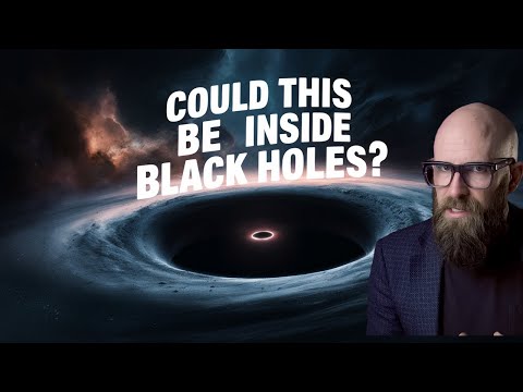 Planck Stars: Alive Inside a Black Hole