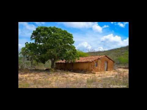 Mestre Antonio Olimpio (Eu venho de longe)-Catimbó Jurema - Ze Pilintra - Malunguinho