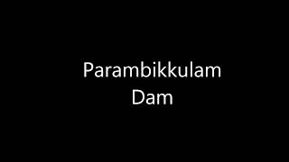 preview picture of video 'Bamboo rafting at Parambikulam Dam'