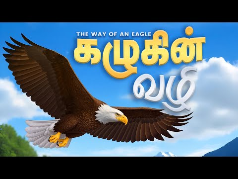கழுகின் வழி - அகூர் | The Way Of an Eagle - The Sayings of Agur