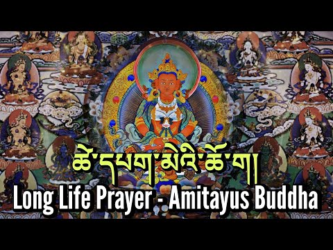 ☸Long Life Prayer(Amitayus Buddha) ཚེ་དཔག་མེ།|Buddhist Prayer For Long Life & Prosperity|Good Health