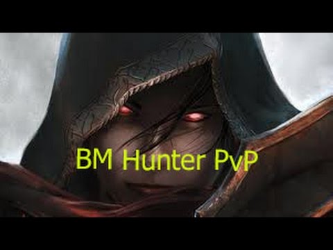 5.4.8 BM Hunter PvP - Streamzorz Fun - Patch 5.4