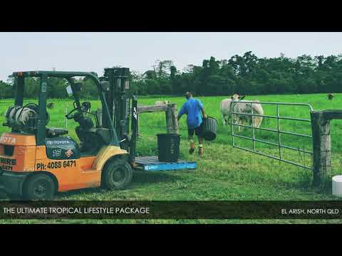 The Ultimate Tropical Lifestyle Package – El Arish, North QLD