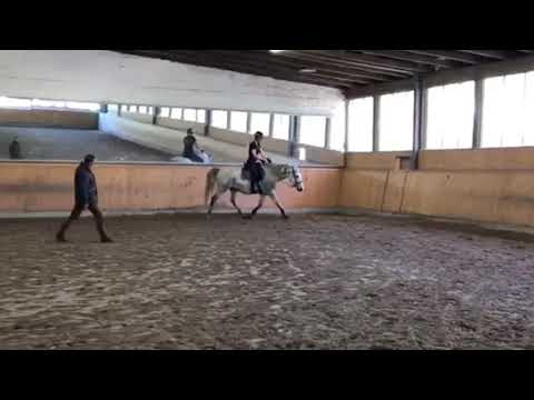 Gutshof Langerwisch - Reitseminar mit Christoph Ackermann