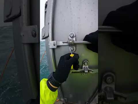 Look what I found inside a lost BMW container