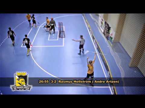 FBC Raseborg Knights - Top Team 28.3.2015 (maalikooste)