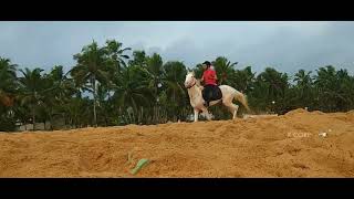 Bright Horse Riders Trivandrum Kerala