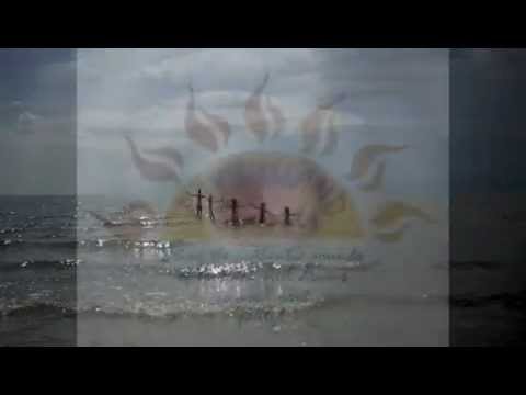 Promotional video thumbnail 1 for Ray's Island Sounds