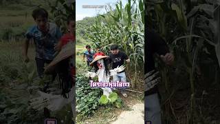 Video thumbnail image
