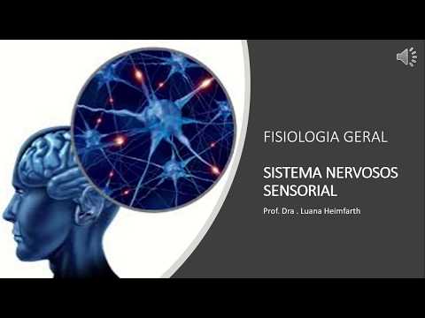 MODULE 1 - Lesson 4: Introduction to the Somatosensory System