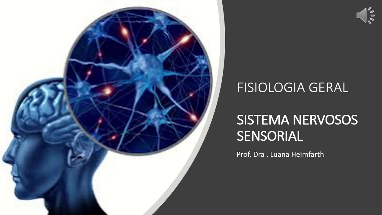 MÓDULO 1 - Aula 4: Introdução ao Sistema Somatossensorial