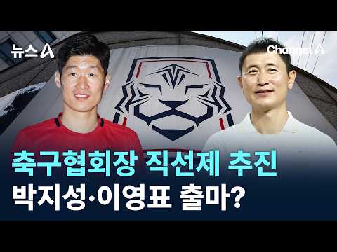 축구협회장 직선제 추진....박지성·이영표 출마?