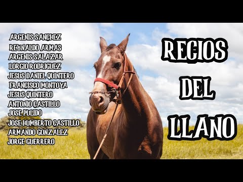 JOROPOS RECIOS DEL LLANO