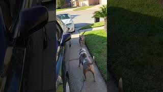 Lexus es350 spark plugs and ignition coils replacement tip