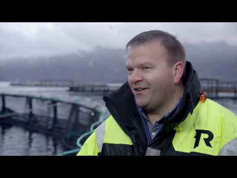 Roger Hofseth i Hofseth International AS - EY Entrepreneur Of The Year-finalist 2019