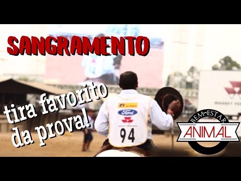 Animal Welfare Regulations remove horse from the competition!