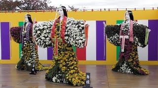 テーク2さん 山形旅の最後は、菊まつりをを愛でる　パート5　2024年11月1日