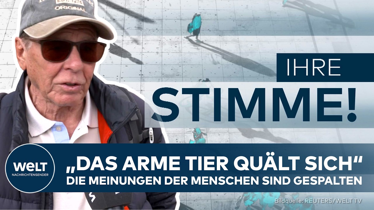 IHRE STIMME: „Das arme Tier quält sich ja nur.“ – Die Meinungen der Menschen sind gespalten